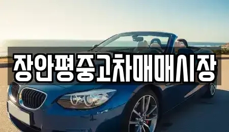 서울 동작구 신대방동 중고차매매 전문 장안평중고차매매시장
