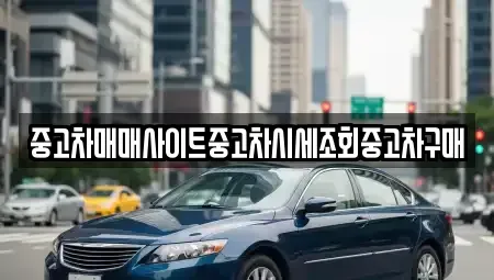 서울 동작구 신대방동 중고차매매 전문 중고차매매사이트중고차시세조회중고차구매