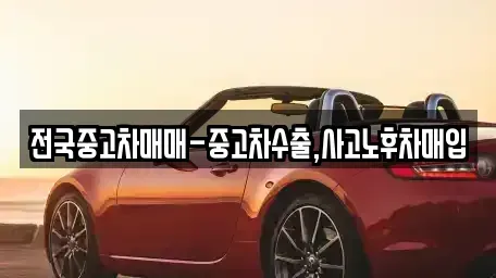 서울 동작구 신대방동 중고차매입 전문 전국중고차매매-중고차수출,사고노후차매입