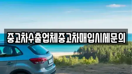 서울 동작구 신대방동 중고차매입 전문 중고차수출업체중고차매입시세문의