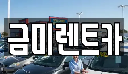 서울 마포구 염리동 렌트카 전문 금미렌트카