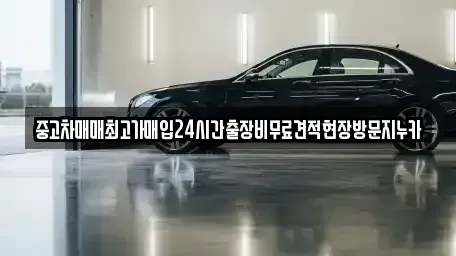 서울 마포구 염리동 중고차 전문 중고차매매최고가매입24시간출장비무료견적현장방문지누카