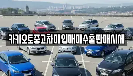 서울 마포구 염리동 중고차매입 전문 카카오토중고차매입매매수출판매시세