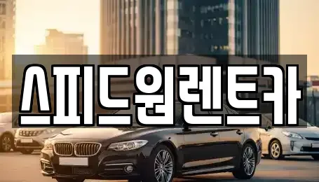 서울 성동구 옥수동 렌트카 전문 스피드원렌트카