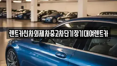 서울 성동구 옥수동 장기렌트카 전문 렌트카신차외제차중고차단기장기대여렌트카