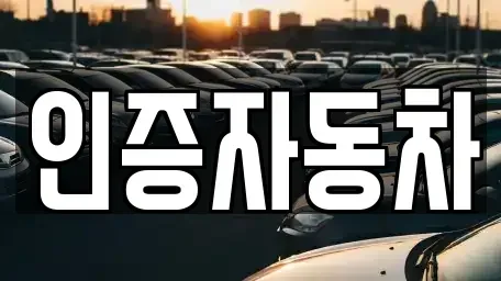 서울 성동구 옥수동 중고차 전문 인증자동차