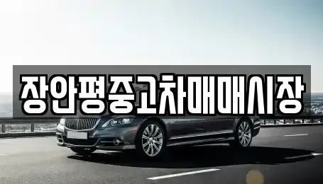 서울 성동구 옥수동 중고차 전문 장안평중고차매매시장
