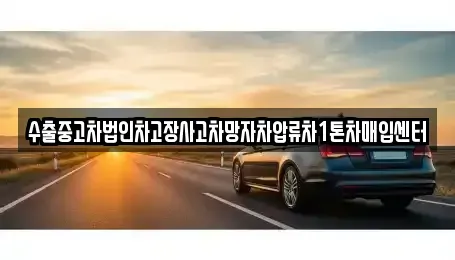 서울 성동구 옥수동 중고차매입 전문 수출중고차법인차고장사고차망자차압류차1톤차매입센터