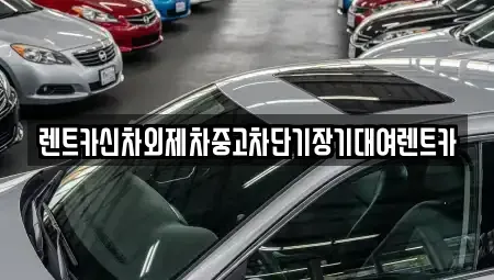 서울 성북구 보문동2가 단기렌트카 전문 렌트카신차외제차중고차단기장기대여렌트카
