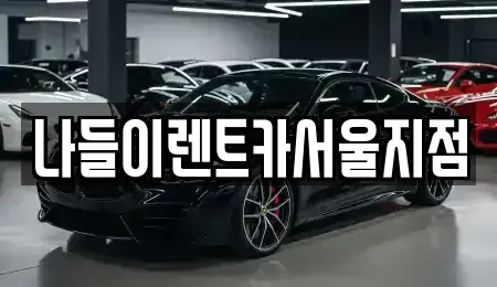 서울 성북구 보문동2가 렌트카 전문 나들이렌트카서울지점