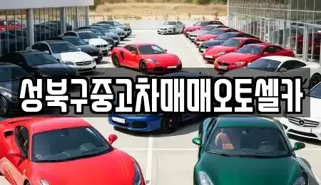 서울 성북구 보문동2가 중고차매매 전문 성북구중고차매매오토셀카