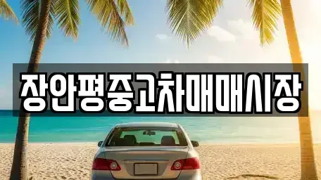 서울 성북구 보문동2가 중고차매매 전문 장안평중고차매매시장