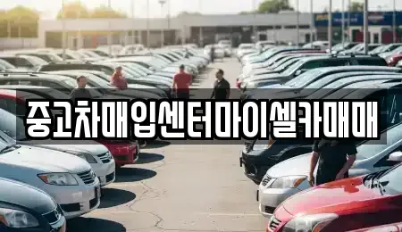 서울 성북구 보문동2가 중고차매입 전문 중고차매입센터마이셀카매매