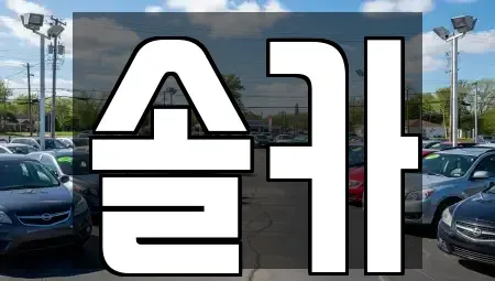 서울 성북구 중고차 전문 솔카