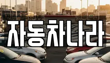서울 성북구 중고차 전문 자동차나라