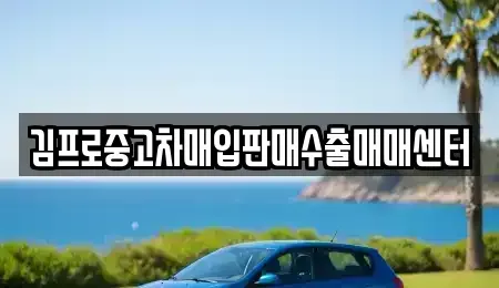 서울 성북구 중고차매입 전문 김프로중고차매입판매수출매매센터