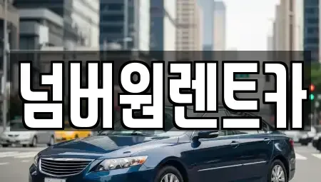 서울 송파구 장지동 단기렌트카 전문 넘버원렌트카