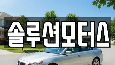 서울 송파구 장지동 단기렌트카 전문 솔루션모터스