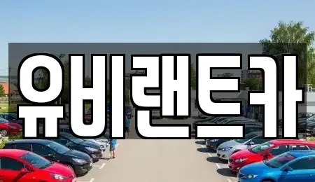서울 송파구 장지동 단기렌트카 전문 유비랜트카