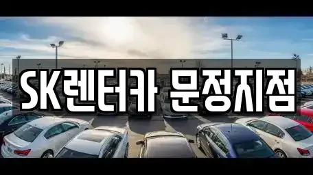 서울 송파구 장지동 장기렌트카 전문 SK렌터카 문정지점