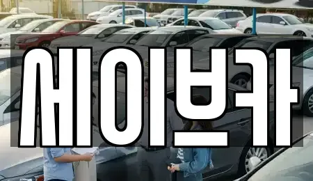 서울 송파구 장지동 장기렌트카 전문 세이브카