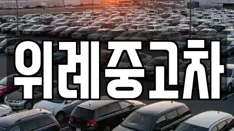 서울 송파구 장지동 중고차매매,단기렌트카,중고차매입,장기렌트카,중고차,렌트카