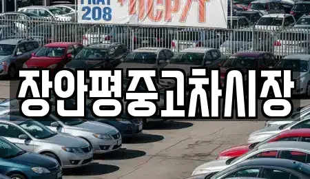 서울 송파구 장지동 중고차매매 전문 장안평중고차시장