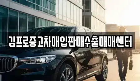서울 송파구 장지동 중고차매입 전문 김프로중고차매입판매수출매매센터