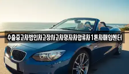 서울 송파구 장지동 중고차매입 전문 수출중고차법인차고장사고차망자차압류차1톤차매입센터