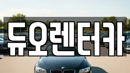 서울 송파구 풍납동 렌트카 전문 듀오렌터카