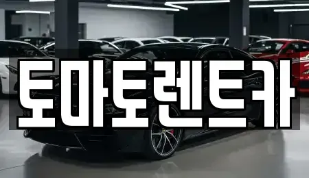 서울 송파구 풍납동 렌트카 전문 토마토렌트카
