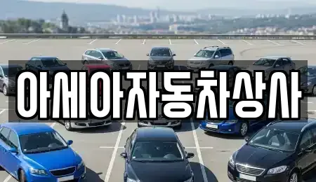 서울 송파구 풍납동 중고차 전문 아세아자동차상사