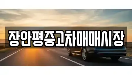 서울 송파구 풍납동 중고차 전문 장안평중고차매매시장
