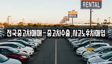 서울 송파구 풍납동 중고차매입 전문 전국중고차매매-중고차수출,사고노후차매입