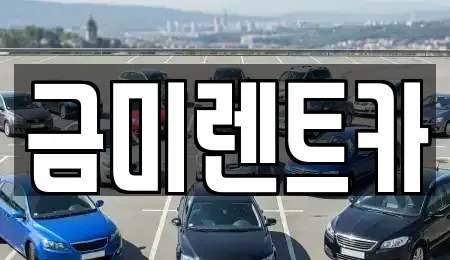 서울 영등포구 영등포동2가 렌트카 전문 금미렌트카