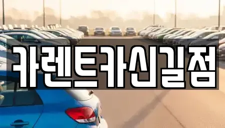 서울 영등포구 영등포동2가 렌트카 전문 카렌트카신길점