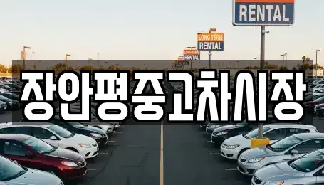 서울 영등포구 영등포동2가 중고차매매 전문 장안평중고차시장