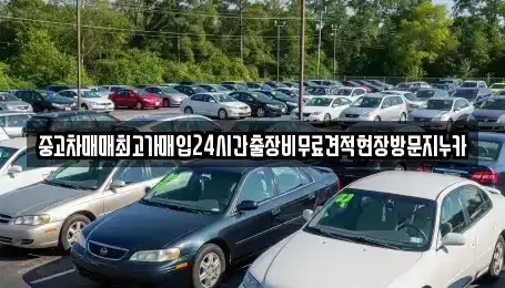 서울 용산구 도원동 중고차매매 전문 중고차매매최고가매입24시간출장비무료견적현장방문지누카