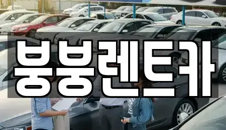 서울 은평구 신사동 렌트카 전문 붕붕렌트카