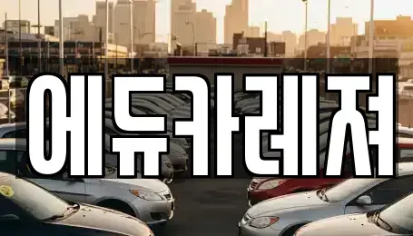 서울 은평구 신사동 렌트카 전문 에듀카레져