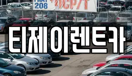 서울 은평구 신사동 렌트카 전문 티제이렌트카