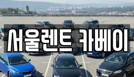 서울 은평구 신사동 장기렌트카 전문 서울렌트 카베이