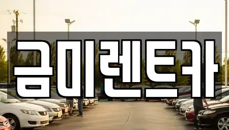 서울 종로구 당주동 렌트카 전문 금미렌트카