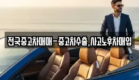 서울 종로구 당주동 중고차 전문 전국중고차매매-중고차수출,사고노후차매입