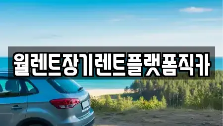서울 종로구 삼청동 장기렌트카 전문 월렌트장기렌트플랫폼직카