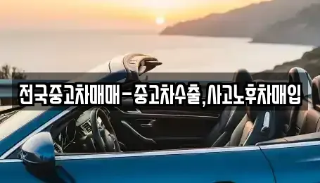 서울 종로구 삼청동 중고차매입 전문 전국중고차매매-중고차수출,사고노후차매입