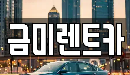 서울 종로구 인사동 렌트카 전문 금미렌트카