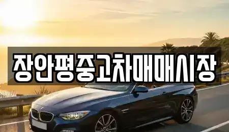 서울 종로구 인사동 중고차매매 전문 장안평중고차매매시장