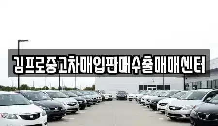 서울 종로구 인사동 중고차매입 전문 김프로중고차매입판매수출매매센터