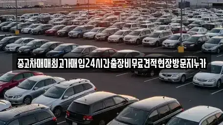 서울 종로구 인사동 중고차매입 전문 중고차매매최고가매입24시간출장비무료견적현장방문지누카